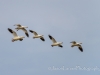 20140308DSC_3487