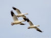 20140308DSC_3488