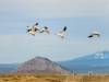 20140308DSC_3492
