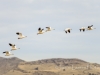20140308DSC_3495