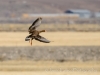 20140308DSC_3500