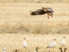 20140308DSC_3503