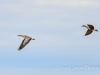 20140308DSC_3507