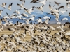 20140308DSC_3510
