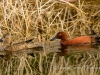 20140308DSC_3563