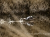 20140308DSC_3572