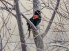 20140308DSC_3576