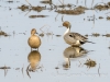 20140308DSC_3581