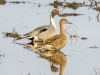 20140308DSC_3588