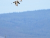 20140308DSC_3592