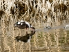 20140308DSC_3608