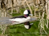 20140308DSC_3618