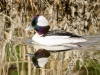 20140308DSC_3624