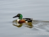20140308DSC_3630
