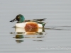 20140308DSC_3659