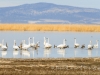 20140308DSC_3815