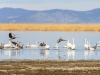 20140308DSC_3817