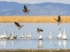 20140308DSC_3820