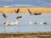 20140308DSC_3824