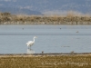 20140308DSC_3828