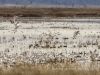 20140308DSC_3878