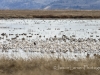 20140308DSC_3884