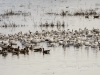 20140308DSC_3887