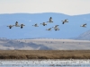20140308DSC_3888
