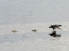 20140308DSC_3893