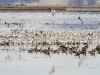 20140308DSC_3901