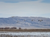20140308DSC_3912