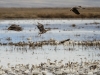 20140308DSC_3928