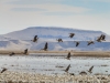 20140308DSC_3935