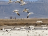 20140308DSC_3943