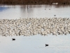 20140308DSC_3981