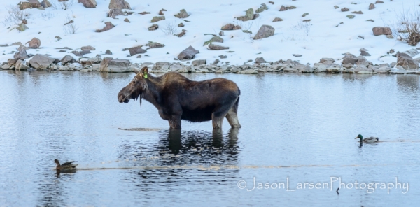2013dsc_7885