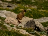 20140719DSC_8713