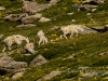 20140719DSC_8755