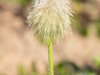 20250724-_DSC3041