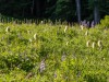 20250724-_DSC3061