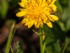 20250724-_DSC3065