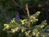 20250724-_DSC3070