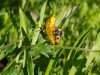 20250724-_DSC3086