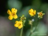 20250724-_DSC3271