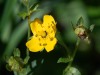 20250724-_DSC3280