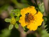 20250724-_DSC3282