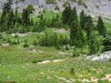 20250724-_DSC3107-Pano