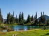 20250724-_DSC3120-Pano