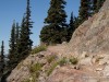 20250724-_DSC3179