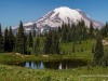 20250724-_DSC3186